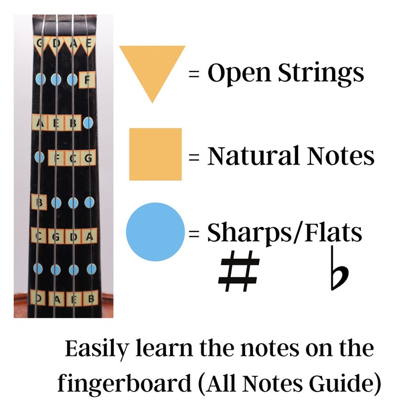 FFG NOTE THE DIFFERENCE Fantastic Finger Guide for Violins - Music Accessories for String Instruments, Fingerboard and Fretboard Stickers, Learn to Play Violin or Fiddle Notes, Combo: D Major and All Notes Guides 4/4 SIZE - Image 5